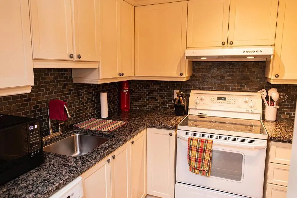 Luxurious Condo Québec 0*,
